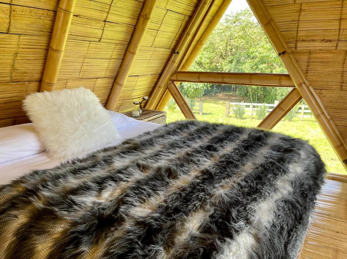 Glamping La Herradura Santa Rosa de Cabal Exteriör bild