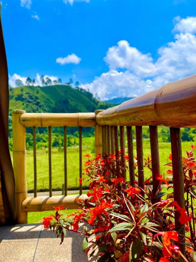 Glamping La Herradura Santa Rosa de Cabal Exteriör bild