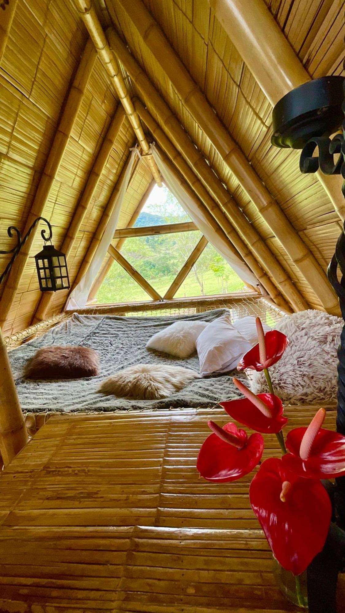 Glamping La Herradura Santa Rosa de Cabal Exteriör bild