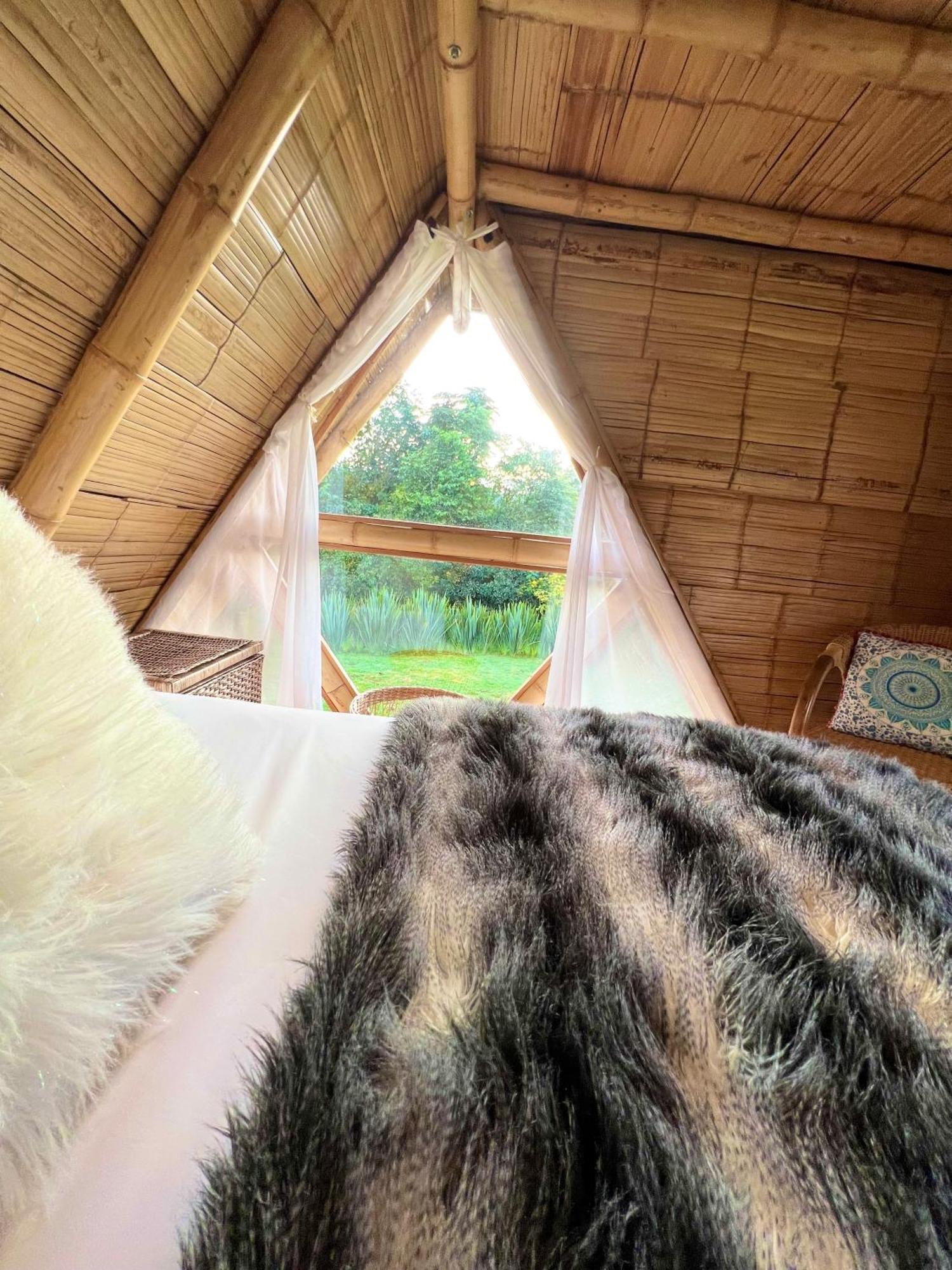 Glamping La Herradura Santa Rosa de Cabal Exteriör bild